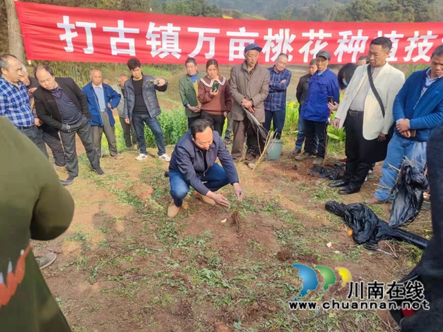 泸州盟员同昭林：扎根基层，一心扑到乡村振兴道路上