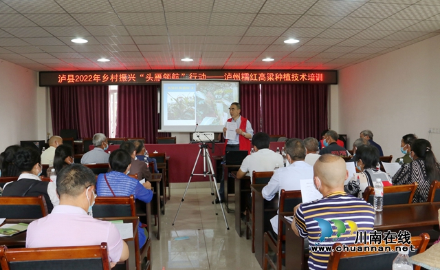 订单高粱种植技术培训（陈传敏摄）.JPG