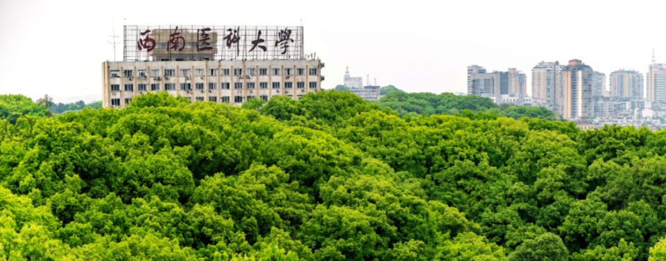 泸州这两所高校合计新增7个国家级一流本科专业建设点