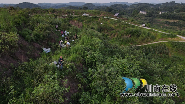 DJI_0806.JPG