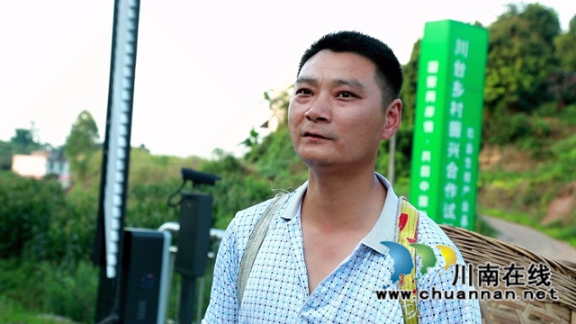合江县:又到一年花椒季,农民致富笑开颜(图11) 刘伟.jpg