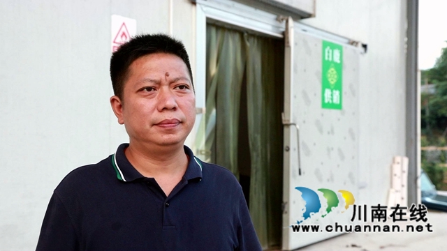 合江县:又到一年花椒季,农民致富笑开颜(图9) 何小东.jpg