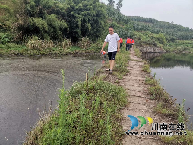 泸县立石镇:川渝共治,龙溪河换了“新装”(图4) 图片4.jpg