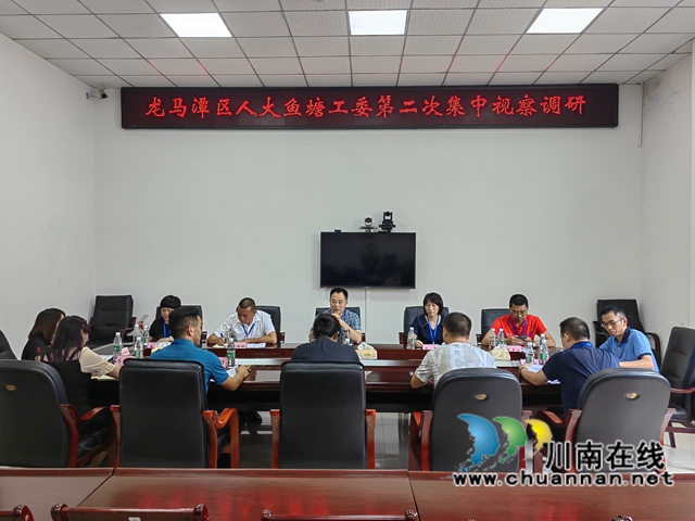 龙马潭区鱼塘街道人大代表助企纾困解难促发展(图2) 人大2.jpg