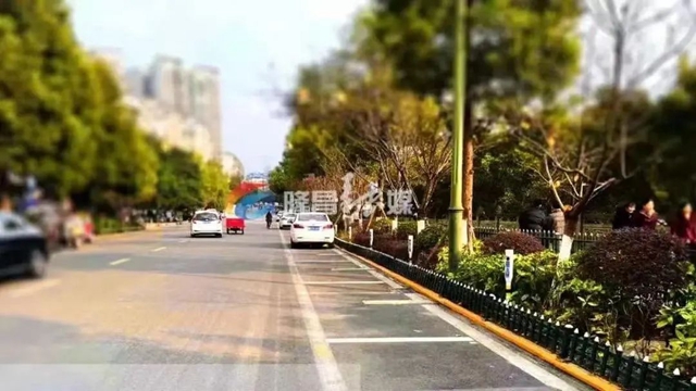 超过3分钟算违停！隆昌42条道路实施交通严管