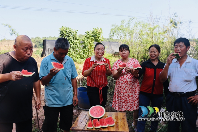泸县立石镇:西瓜丰收上市,开启甜蜜夏日(图3) 西瓜3.jpg