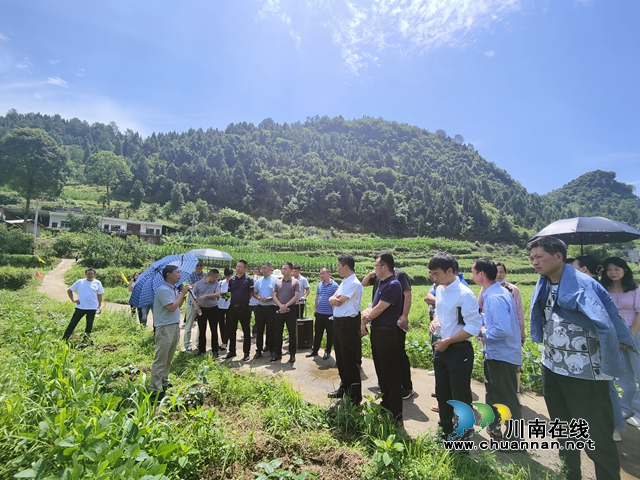 石宝镇特聘山银花发展顾问实地讲解摘花注意事项.jpg