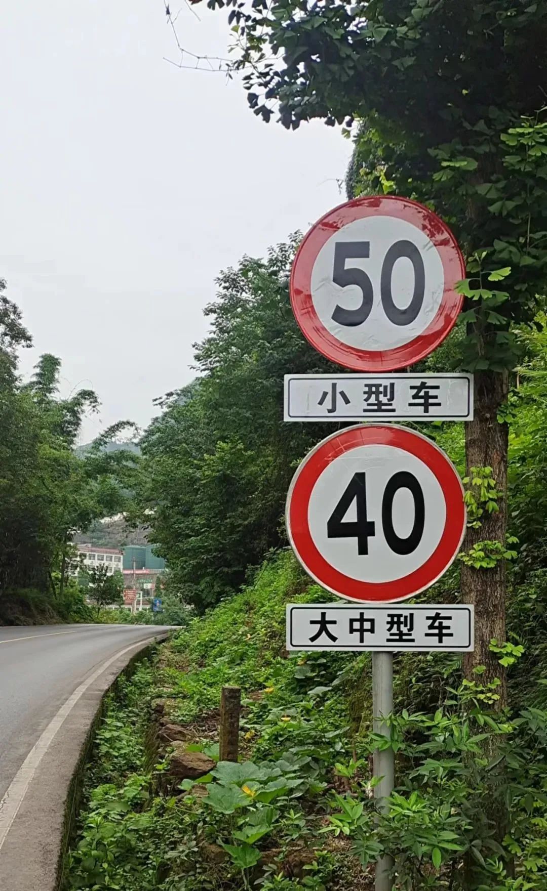 【公告】7月7日起，G246国道“纳江”路部分路段限速有调整！