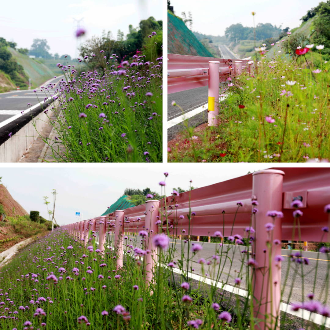 泸州首条“爱情”公路通车啦!快来拍照~(图7) 微信图片_20220702084906.png