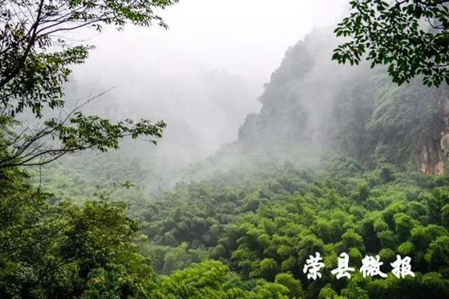 自贡最凉快的地方,你知道是哪里吗?(图5) 5.jpg