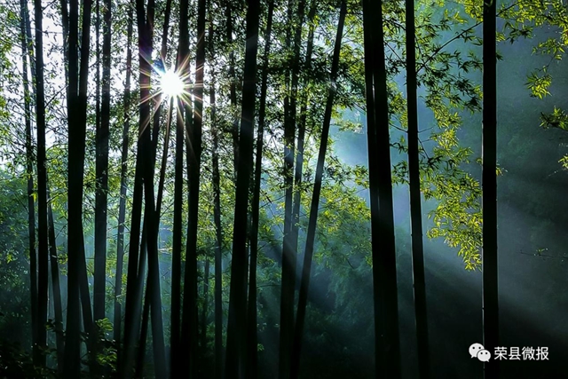 自贡最凉快的地方,你知道是哪里吗?(图7) 8.jpg