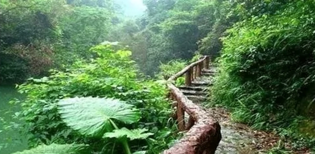 自贡最凉快的地方,你知道是哪里吗?(图8) 10.jpg