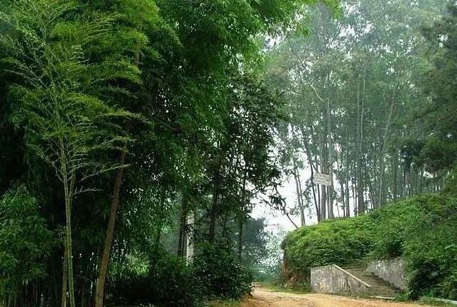 自贡最凉快的地方,你知道是哪里吗?(图22) 24.jpg