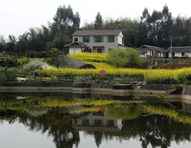 自贡最凉快的地方,你知道是哪里吗?(图23) 25.jpg