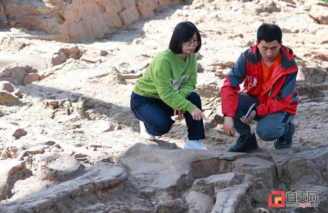 自贡青龙山恐龙化石群研究最新进展!(图9) 9.jpg