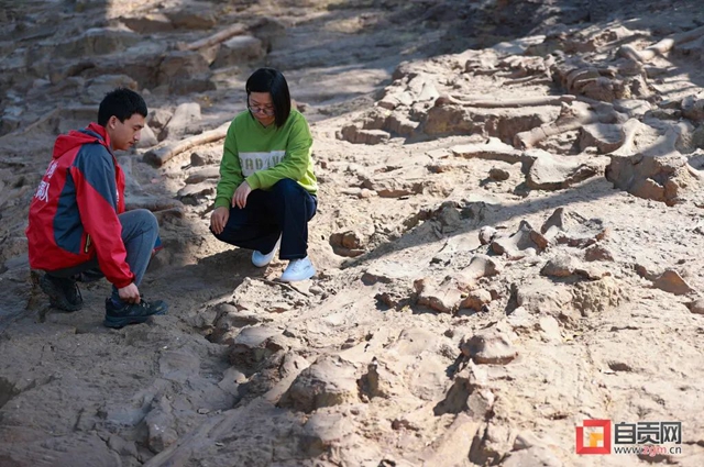 自贡青龙山恐龙化石群研究最新进展!(图3) 3.jpg