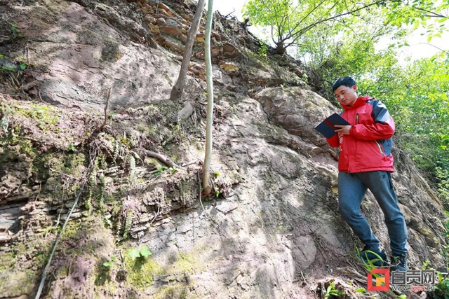 自贡青龙山恐龙化石群研究最新进展!(图4) 4.jpg