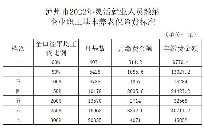 泸州2022年灵活就业人员养老保险缴费标准公布，分七个档次