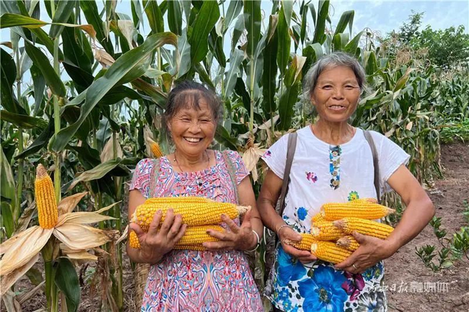 遍地是“黄金”!内江这里的村民喜笑颜开(图5) 5.jpg