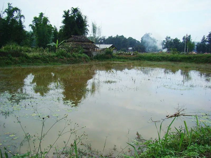 酒麒麟·示范创建 | 江阳法院：“喂鱼田”涨水引纠纷，法官现场勘验促调解