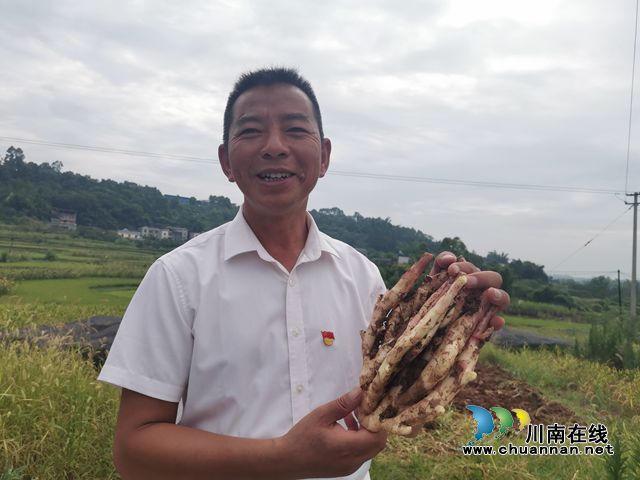 周兴海展示牛滩生姜（曾佐然摄）.jpg
