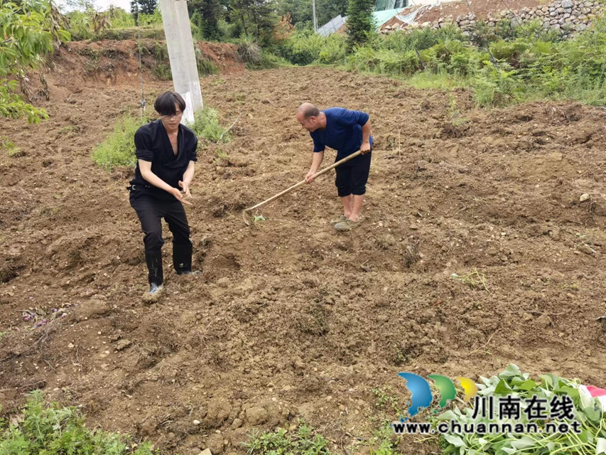 农民抓紧秋粮播种.jpg