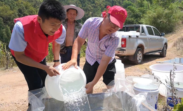 民心守护|纳溪区全力出击,为群众送水解“旱情”(图3) 3.jpg