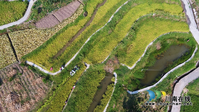 DJI_0067.JPG