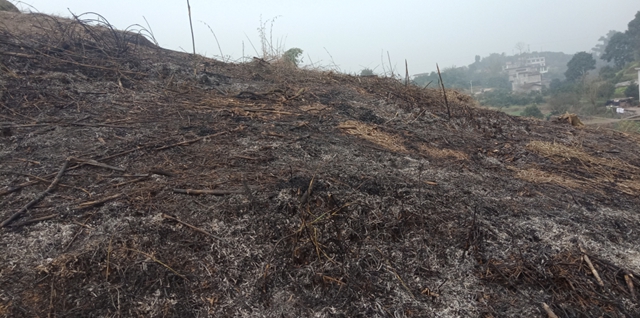 以案示警丨合江县公布森林防火十起典型案例