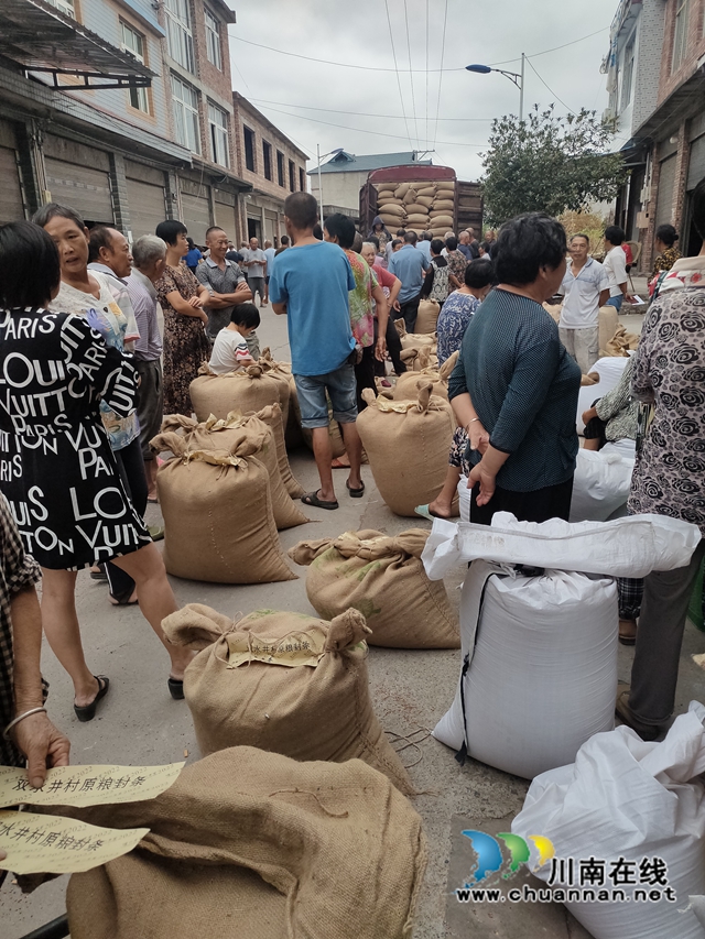 合江县白沙镇:有机高粱正收购,农民增收有保障(图5) 4.jpg