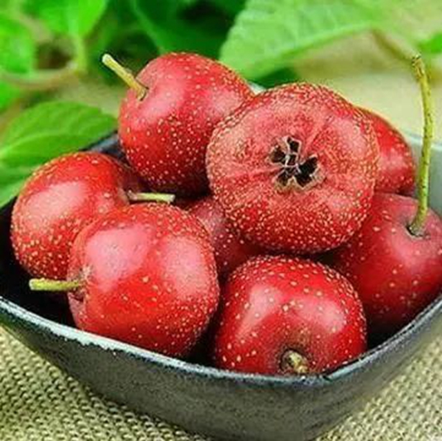 【警惕】女子1月未吃火锅,炫两斤羊肉进医院(图4) 4.jpg