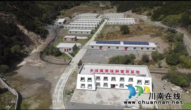 泸州市对口帮扶乡城县援建项目——藏猪保种基地.jpg