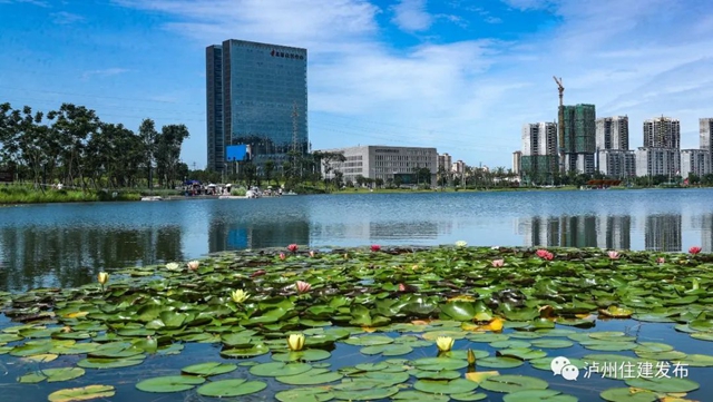 筑牢长江上游生态屏障，《泸州市海绵城市建设管理条例》10月1日起施行