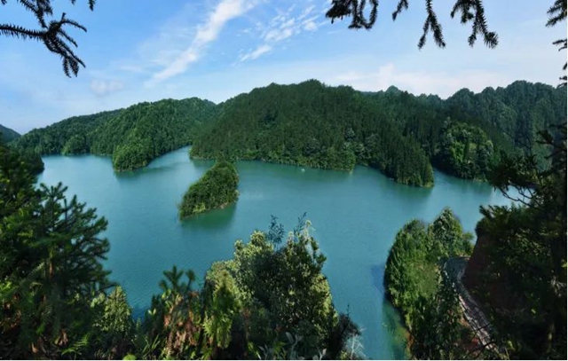 古蔺黄荆老林：泸州市首个省级自然教育基地！