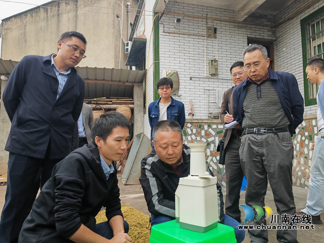 再生稻测产1（曾佐然摄）.jpg