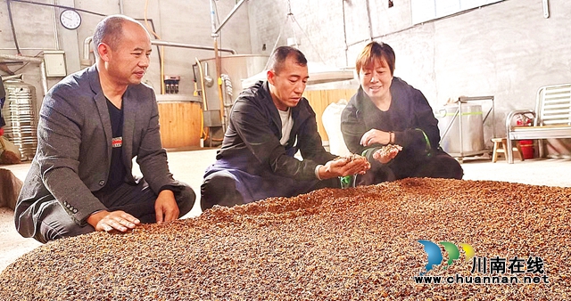 图2：牟太飞（中）介绍摊晾的酿酒高粱.jpg
