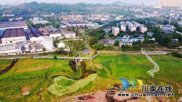 昔日污水横流的江滩荒地华丽转身为12万平方米的“城市绿肾”——图为生态环境整治完成后的老鹰坵生态湿地公园。 杨尚威摄 (1).JPG