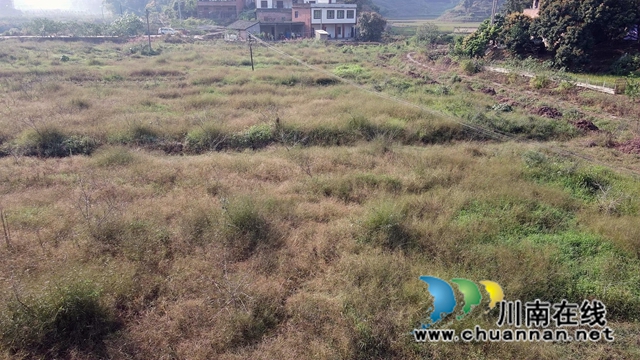 DJI_0514[00-00-01][20221019-094355222].jpg
