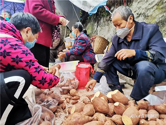 价格回归！内江人熟悉的“亲民菜”回来啦——