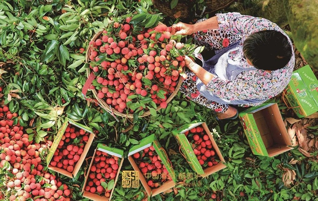 现代农业园未来如何建？泸州给出了这份《规划》