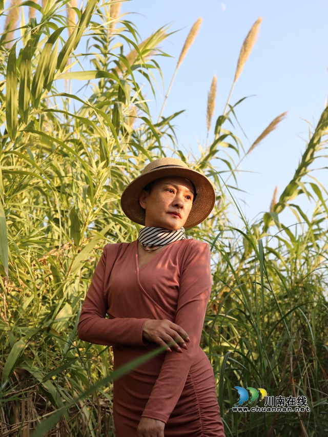 在泸州市龙马潭区罗汉街道老鹰坵湿地公园，天高云淡，风清气爽，市民们正在芦苇荡中拍照打卡，连片的芦苇荡在夕阳的照射下散发出金黄色的光泽。 (3).jpg