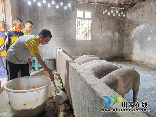 体验喂猪（曾佐然摄）.jpg