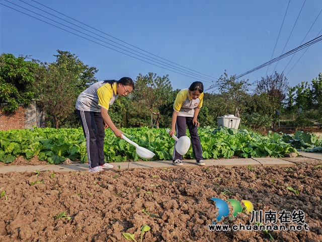 为蔬菜施肥（曾佐然摄）.jpg