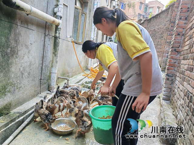 喂鸭子（曾佐然摄）.jpg
