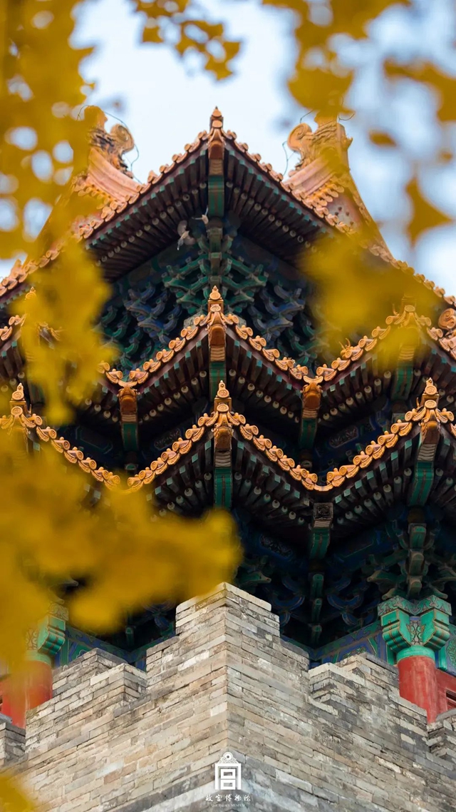 【航班快讯】11月7日起，泸州-北京航班有序恢复！