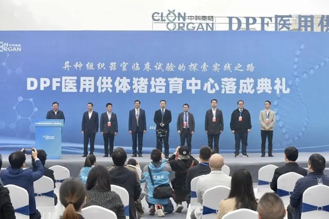 中国首家异种大器官移植医用猪培育基地在内江竣工