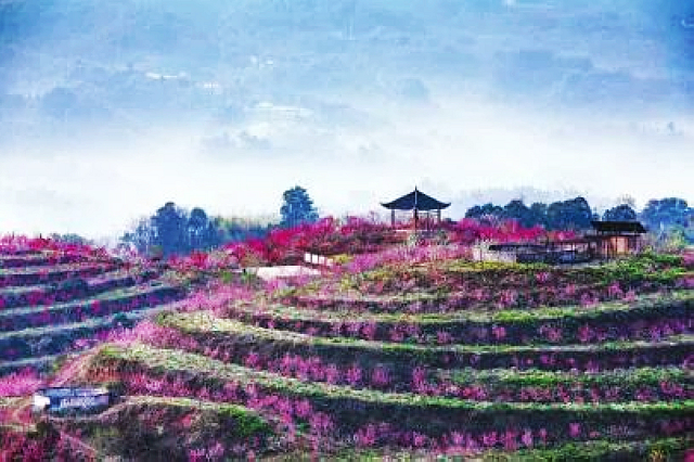 四川日报关注!泸州这里将争创全国知名旅游目的地(图2) nEO_IMG_2.jpg