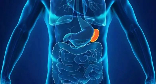 【罕见】女子肚大如10月孕妇,竟是……(图2) 孕妇2.jpg