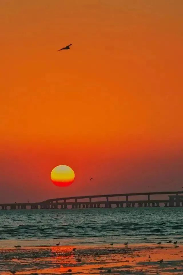 【泸州机场特价机票】年末大促，错峰出行更优惠！