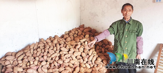 纳溪：七旬党员老兵回乡闲不住，成“老有所为”好榜样